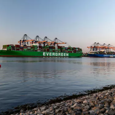 Economisme en technicisme: belangrijke factoren achter een ontspoord landbouw- en voedselsysteem