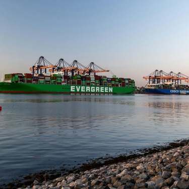 Economisme en technicisme: belangrijke factoren achter een ontspoord landbouw- en voedselsysteem