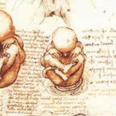 Wat is leven? Hoe virussen onze kijk op het leven en ons ethisch oordeel kunnen veranderen