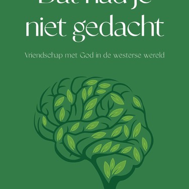 Dat had je niet gedacht. Vriendschap met God in de westerse wereld