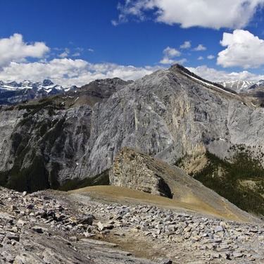 Bijbellezen en oorsprongsvragen: wat te doen als moeilijke antwoorden vertwijfeling niet wegnemen?