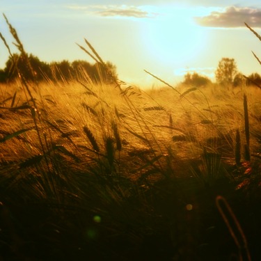 Een eigentijdse Regulae