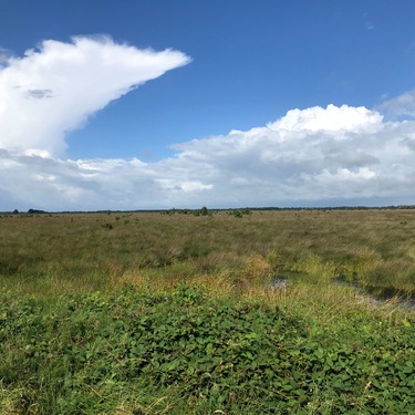 Gemeenschapsland als kans: “Governing the Commons” van Elinor Ostrom