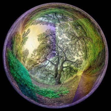 Over taal en waarheid. Een hermeneutisch-fenomenologisch perspectief