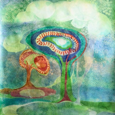 Het neurowetenschappelijke mensbeeld