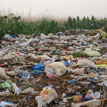 'Het woord is aan de natuur' over het ‘parlement der dingen’