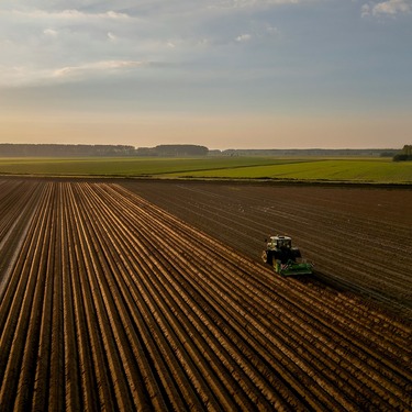 Voedselvoorziening: verbinding tussen boeren en burgers