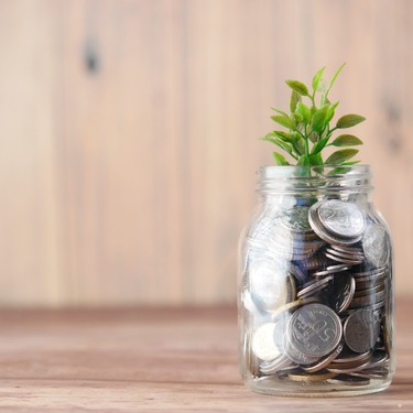 Economie van het genoeg
